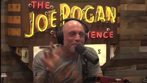 No Kings Protestors are FBI and Losers #nokings