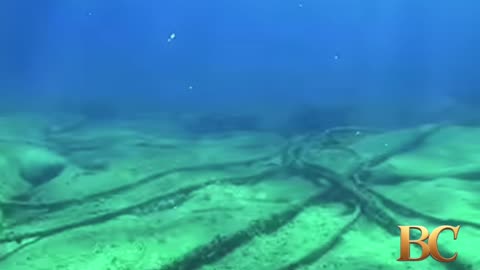 Undersea cables cut in the Red Sea, disrupting internet access in Asia and the Mideast