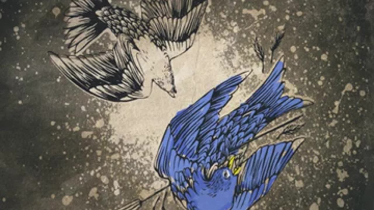 Black Lillies · 100 Miles of Wreckage