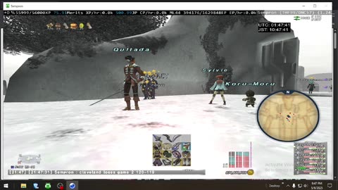 Playing Final Fantasy XI Online