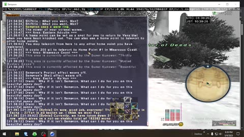 Playing Final Fantasy XI Online