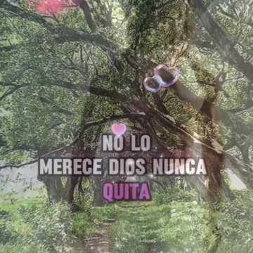 REFLEXIÓN ✨️ ✨️ ✨️ ✨️ ✨️ ✨️ ✨️ ✨️