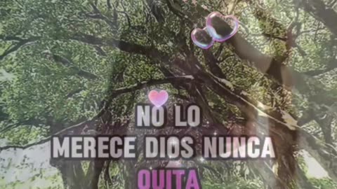 REFLEXIÓN ✨️ ✨️ ✨️ ✨️ ✨️ ✨️ ✨️ ✨️