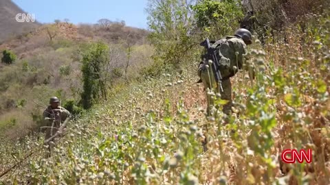 The Sinaloa Cartel told us what they think of President Trump