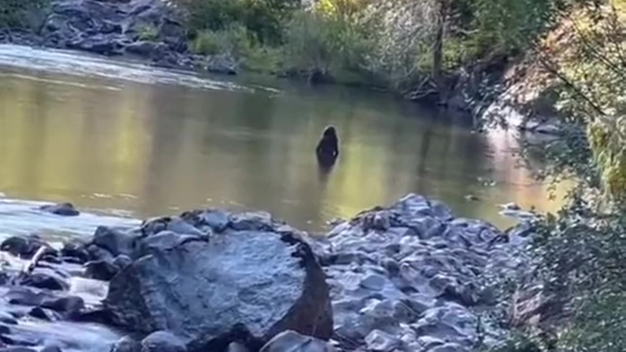 😲👻 Sasquatch Caught In The Waters Of Vancouver Island! | TheHauntingHour