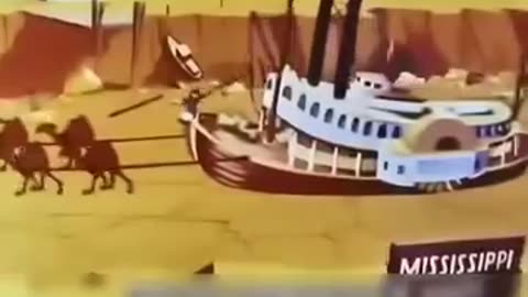Funny videos 😂😂