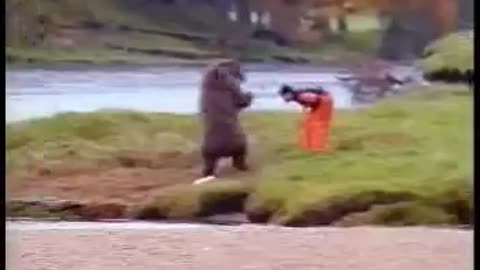 a man kick a bear in the balls