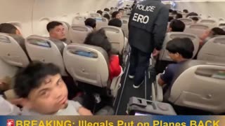 Plane After Plane LOADED with Illegal Aliens — They’re ALL Going Back Home 🔥