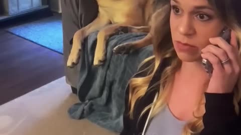 Funny dog moments 8