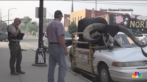 What in the Howdy Doody is Going on Here ?? !!! #howdydoody #bullride #fyp