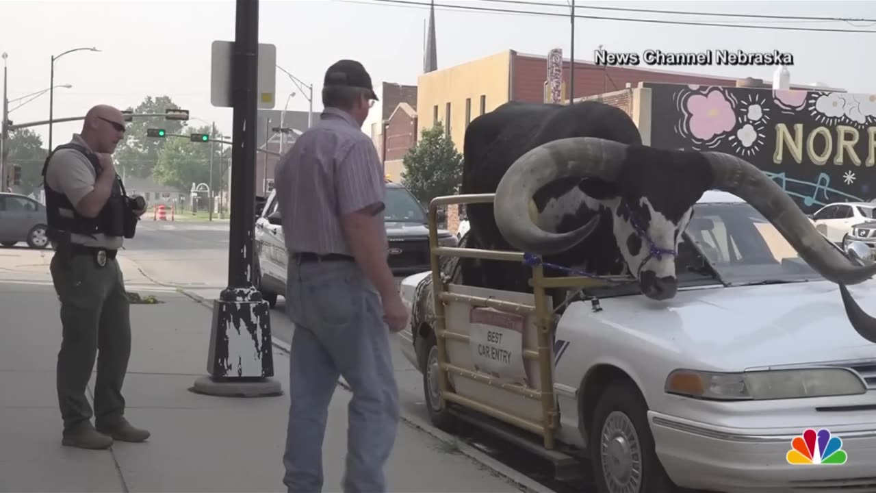 What in the Howdy Doody is Going on Here ?? !!! #howdydoody #bullride #fyp