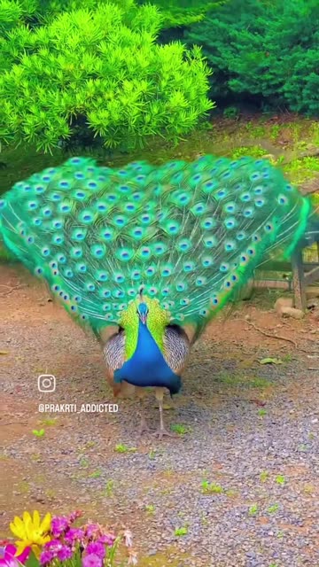 Tumse hua ha pyar....💞