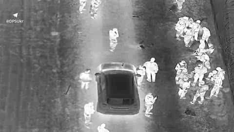 ‼️Discovered near the border: a huge group of 19 violators planned to get to Slovakia
