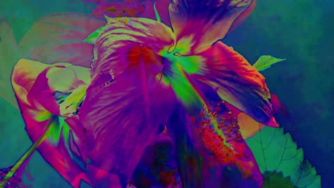 flora