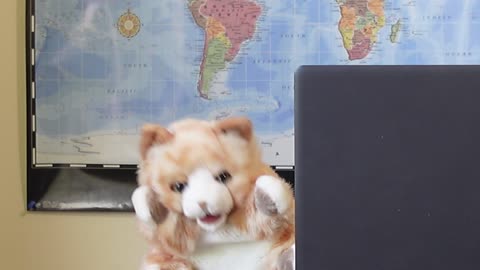 Auditioning for CGPA Puppet News 
