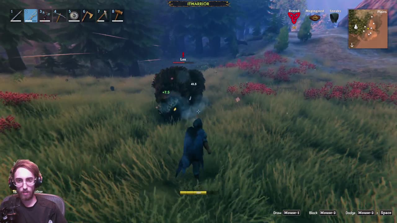 Valheim