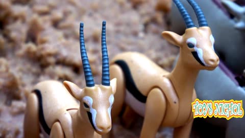 Lions and Tigers Bathe Together in Pool Full of Mud