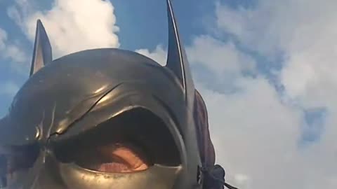 BATMAN IS THE CALISTHENICS WORLD CHAMPION!!! 🏆 🌎 💪 🦇