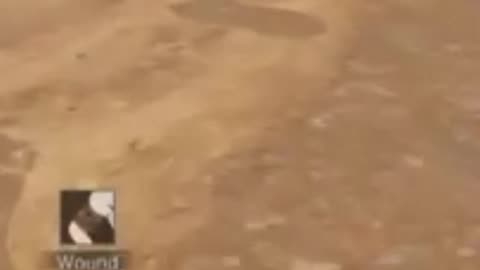 Delta Force