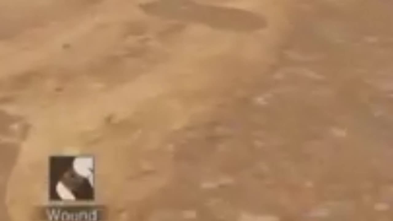 Delta Force