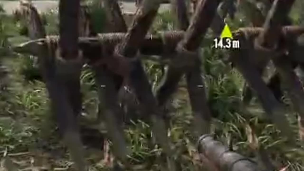 Truly Released