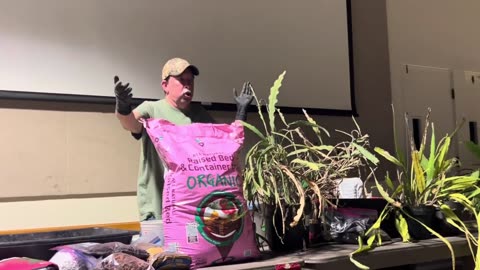 Repotting and Trimming Epiphyllums