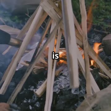 Survival Hacks in 30 Seconds: Top 3 Skills to Thrive in Emergencies! #Shorts