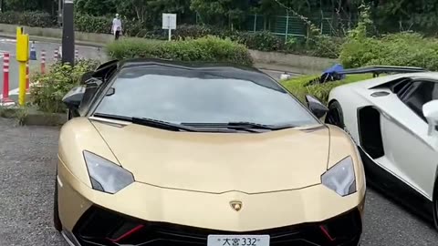 Multi-Color Lamborghini | Rich Luxury Lifestyle 🏎✨ Millionaire Vibes