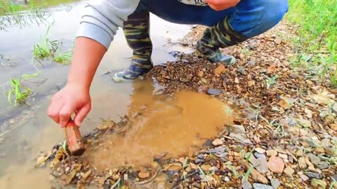 Agate, gemstones, crystals, and agate stones found in ancient river channels