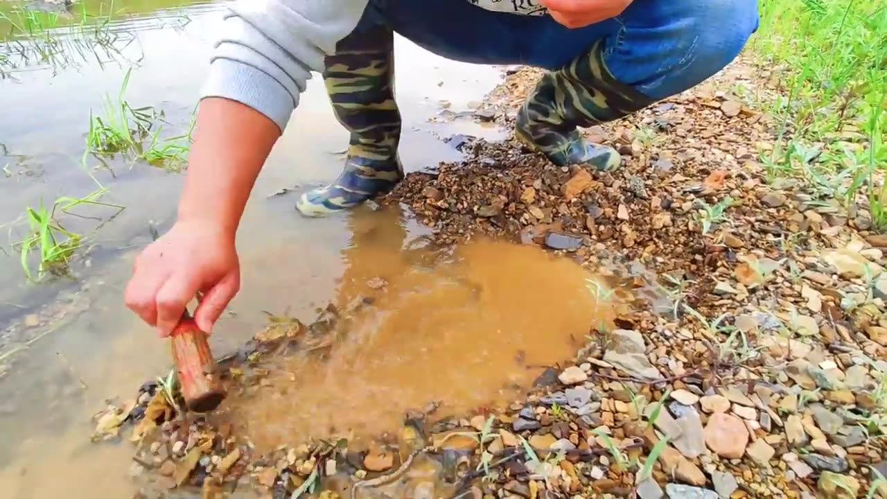 Agate, gemstones, crystals, and agate stones found in ancient river channels