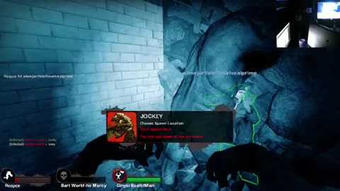 Vinny's Experience
