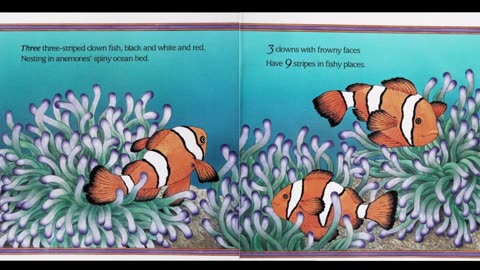 Sea Squares (Joy Hulme)