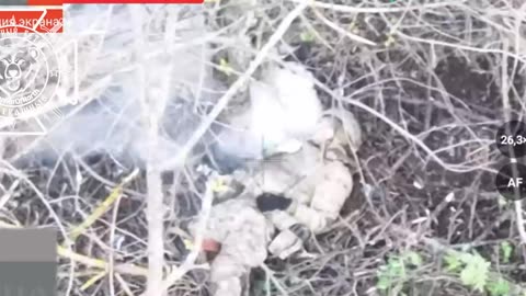 Ukraine Russia conflict /SMO/war combat footage 11/4/2025