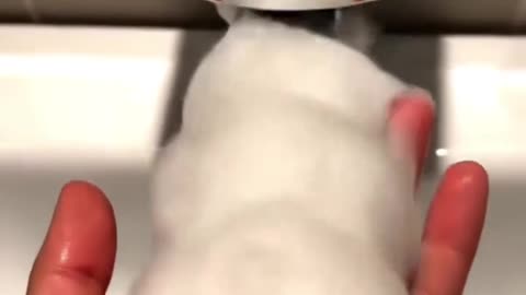 What came out of the soap dispenser?