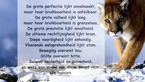 De grote perfectie