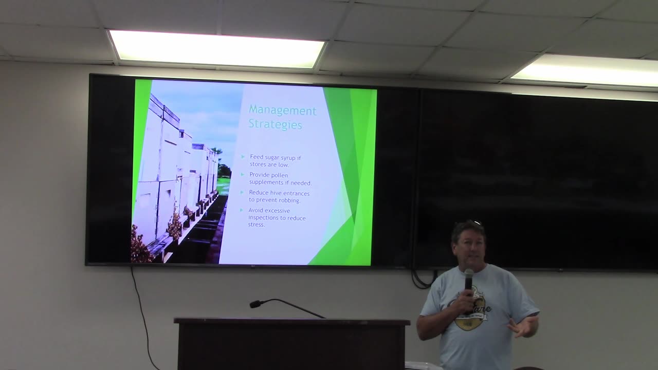 Summer Dearth in Northast Florida