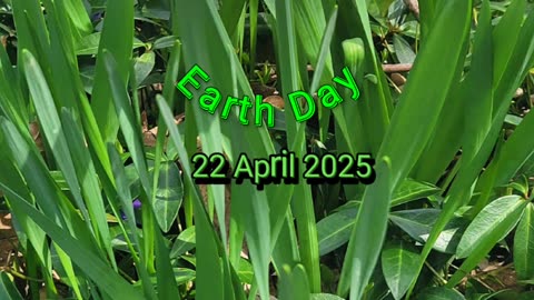Earth Day 🌎
