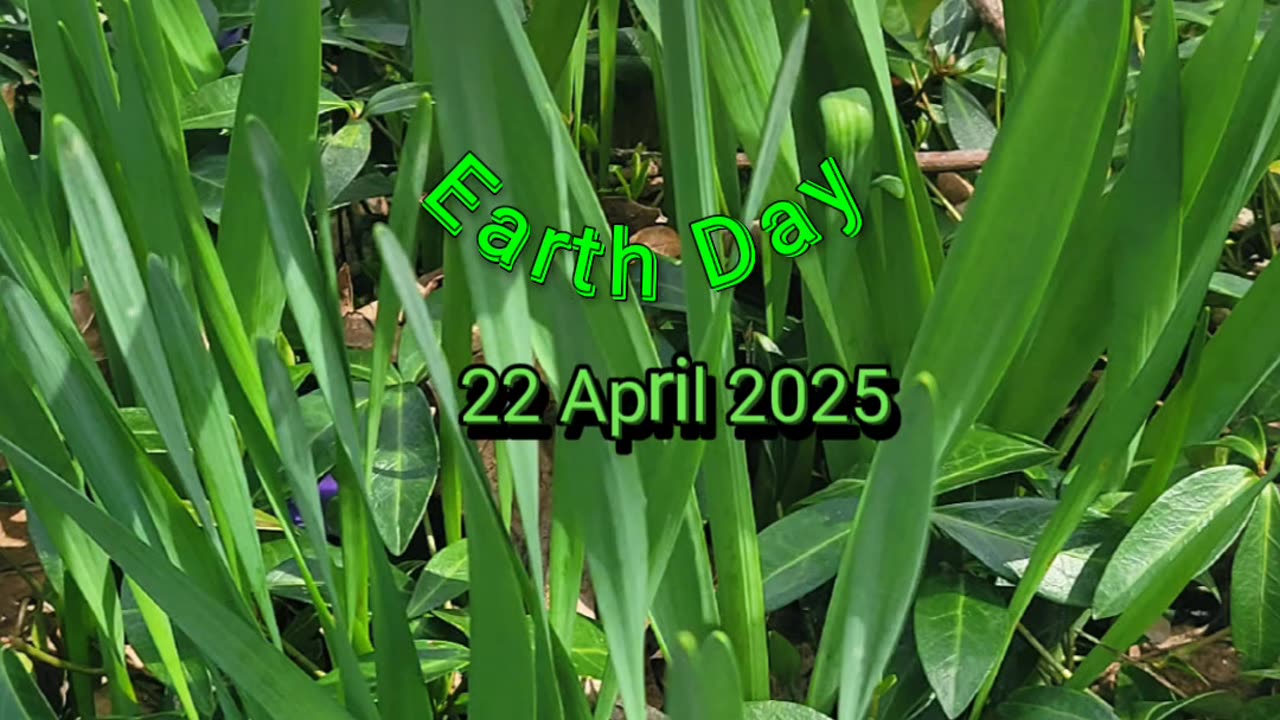 Earth Day 🌎