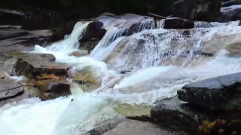 Cascades
