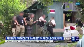 Dozens arrested in ICE raid on the island of Kauai, Hawaii