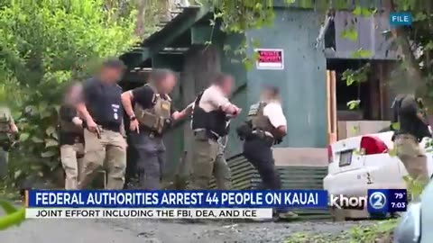 Dozens arrested in ICE raid on the island of Kauai, Hawaii