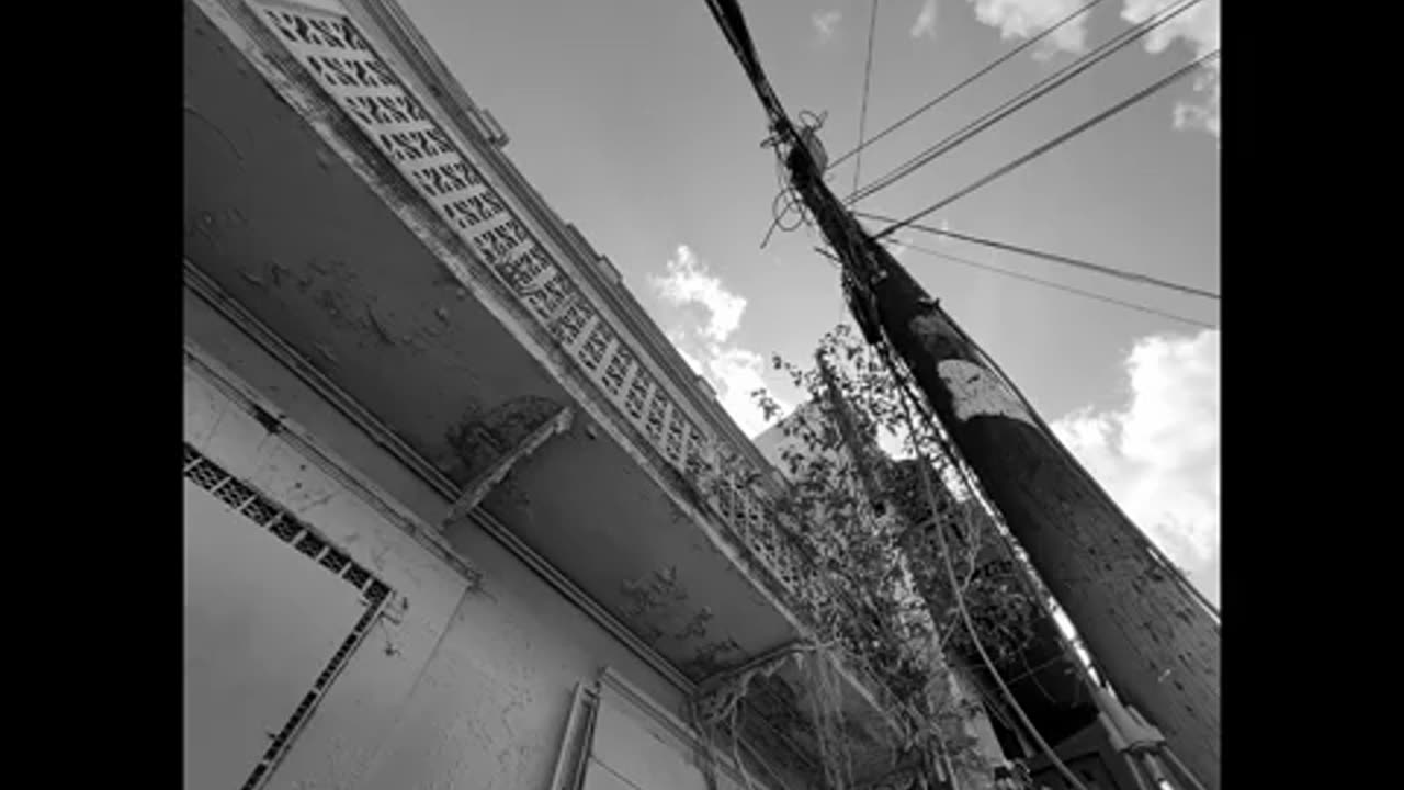 monograms SHAPES (2025)