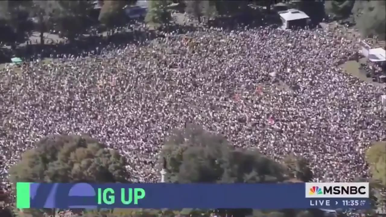 Analysts are calling this the biggest protest in American history