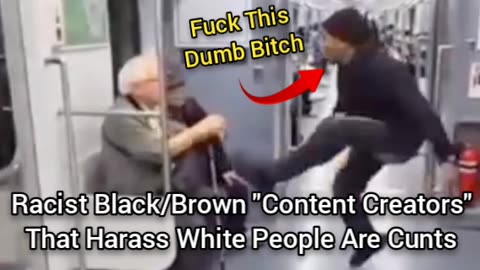 Black/Brown Content Creators That Harass White People Are Cowards