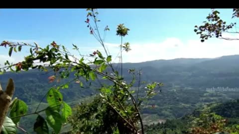 "The Enchanting Beauty of Naringul Waterfall – A Hidden Natural Wonder"