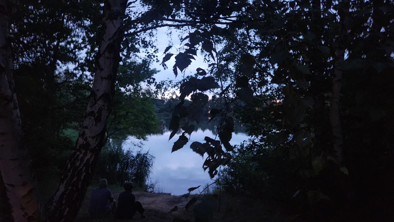 Wiesiorynka nocna 43