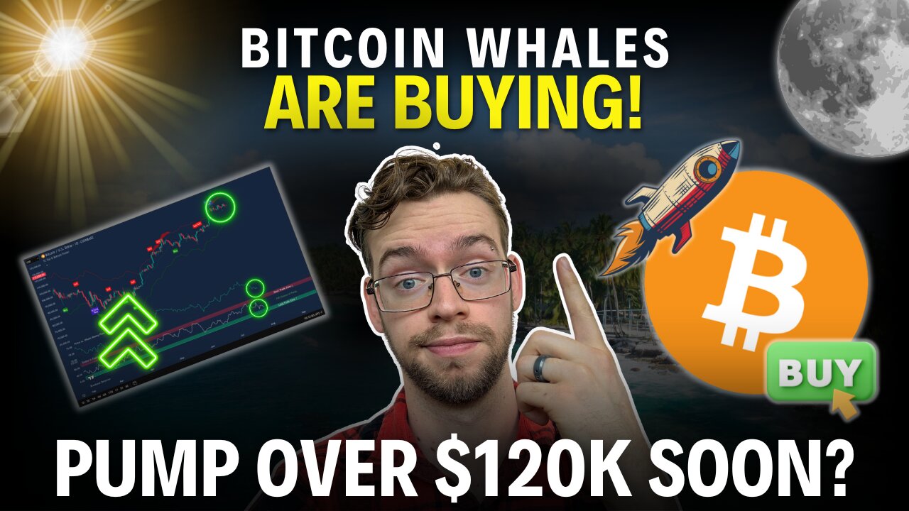 BTC About to Explode? 74% Pump Signal, Whales Buying!