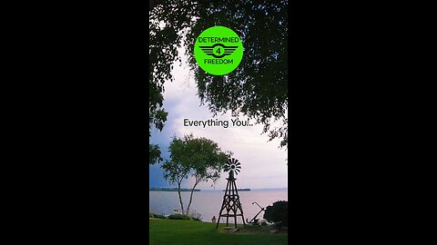 Everything You...