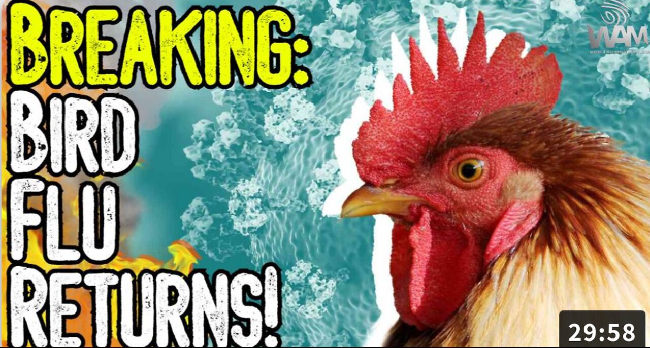 BIRD FLU RETURNS
