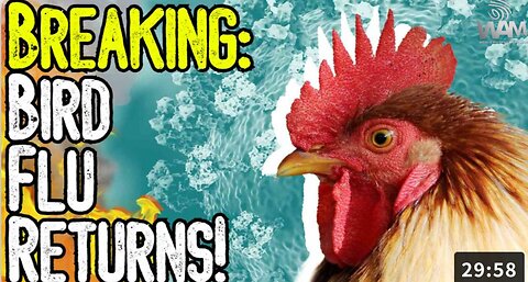 BIRD FLU RETURNS